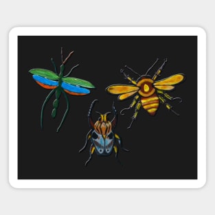 Funny Insects Magnet